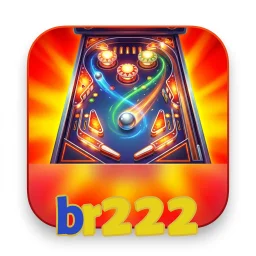 br222